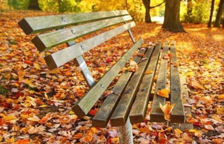 أجواء خريفية معتدلة السبت