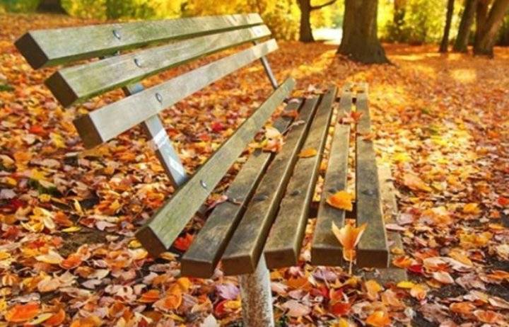 الطقس الخريفي المعتدل مستمر الثلاثاء