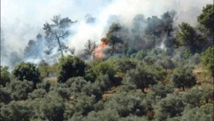 72 حريقا في الأردن الخميس