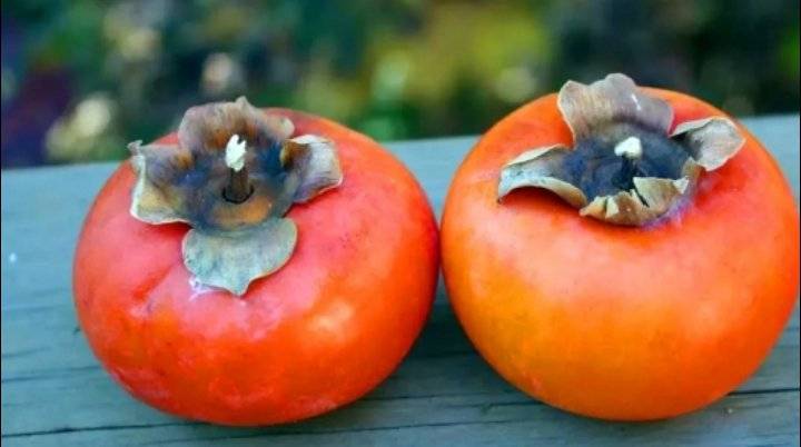 أسعار الكاكا المحلية مرتفعة جدا .. والزراعة تراقب الوضع