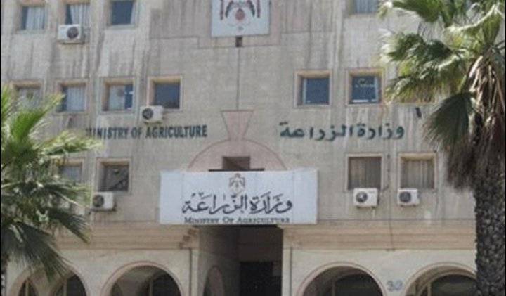 بيان صادر عن وزارة الزراعة حول ما تم تداول حول وجود حشرة داخل الموز المستورد