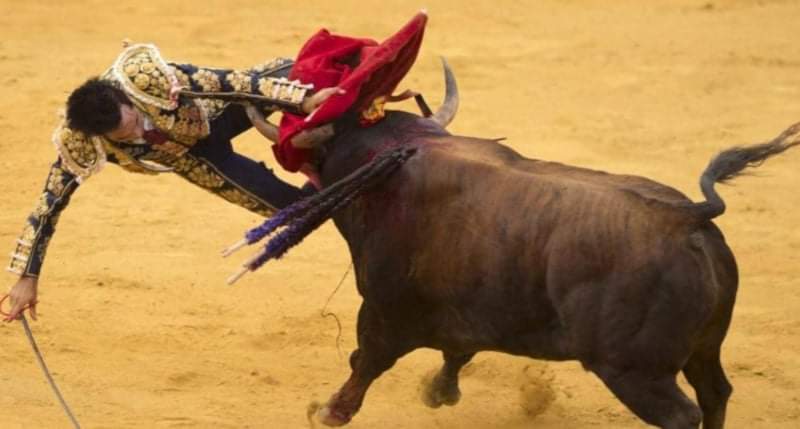 وفاة رجل خلال مهرجان الركض مع الثيران في إسبانيا