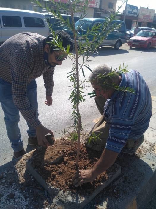 بلدية الخالدية :  زراعة الجزيرة الوسطية...صور