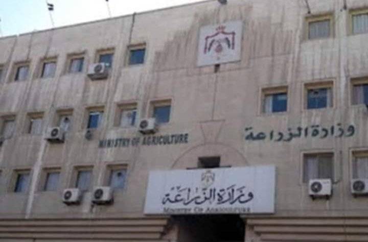 الزراعة: مرض الحمى القلاعية لا يتداخل مع الإنسان