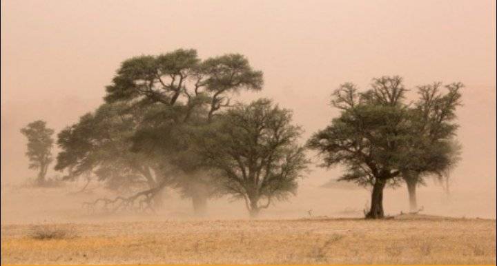تنبيهات من الهبوب المتكرر للرياح الشرقية في الأردن خلال الشهر الجاري
