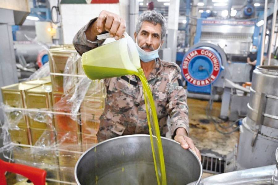 العمري: تأخر الشتوة الأولى يُضعف التوجه لشراء الزيت