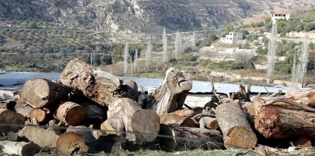 توزيع 400 طن من الأحطاب على العائلات العفيفة في عجلون