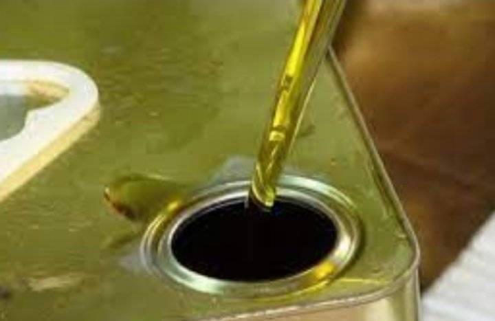 زراعة عجلون: 40 الف طن الكميات المتوقع انتاجها من الزيتون