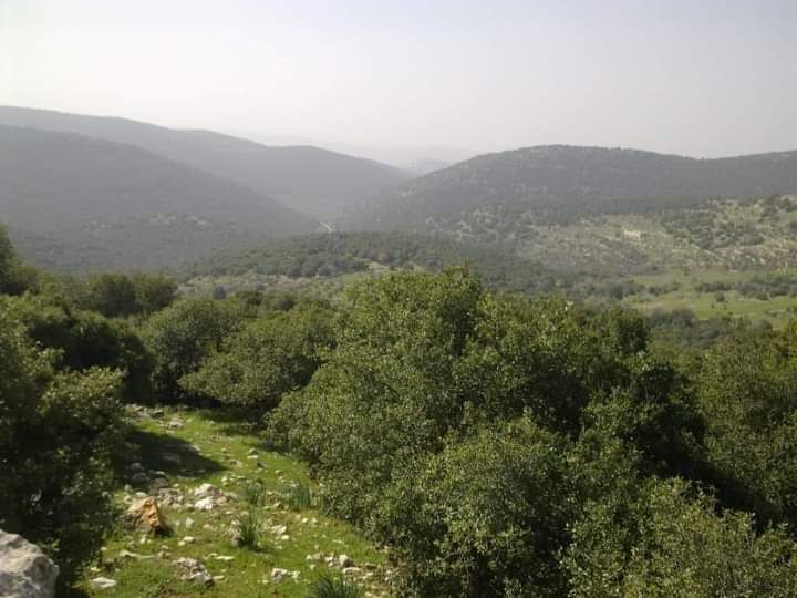 استمرار حملات النظافة في غابات برقش