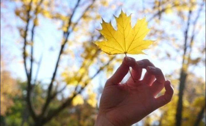 الحرارة أعلى من معدلاتها وطقس خريفي الإثنين