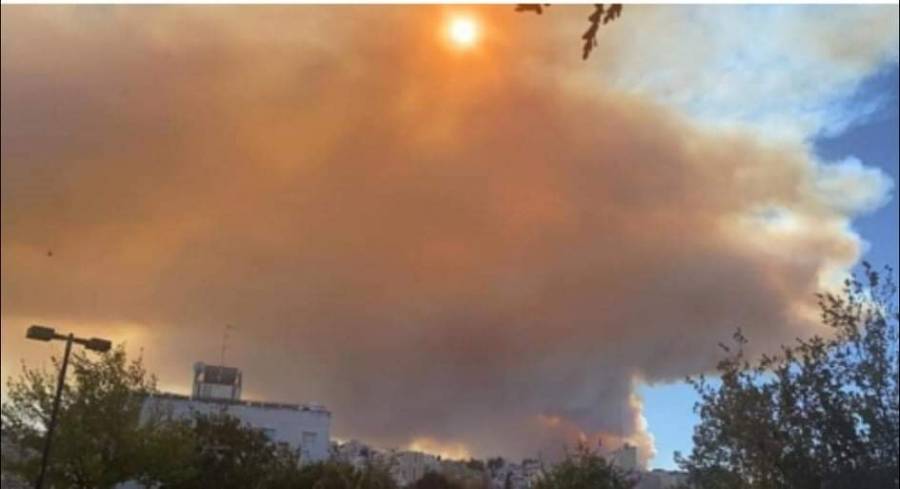 حريق اعشاب على الشريط الحدودي غربي المملكة