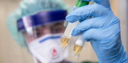 الصحة: الأولوية في فحوصات كورونا لطلبة المدارس