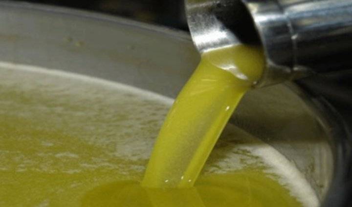 الغذاء والدواء لا صحة لإتلاف زيت زيتون داخل المعاصر