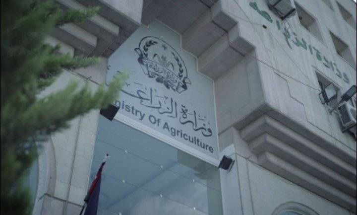 الزراعة فتح استيراد الاغنام الحيه والمذبوحه من جورجيا