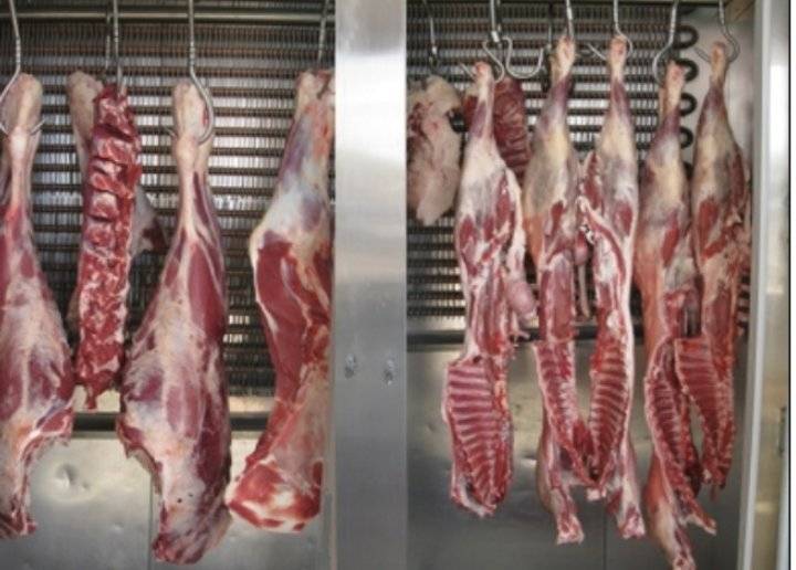 البلقاء.. إيقاف 19 ملحمة تبيع لحوماً مستوردة على أنها بلدية