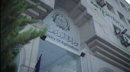 الحنيفات: تعويض متضرري الحرائق الاسرائيلية من صندوق المخاطر إلى حين تحصيلها