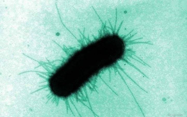 تصريح مُطمئن من “الصحة العالمية” بشأن متحور أوميكرون