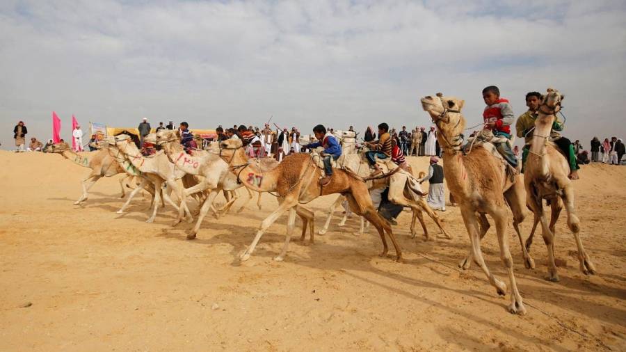 انطلاق فعاليات مهرجان الأردن لسباقات الهجن