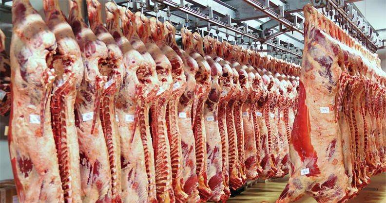 الزراعة مستمرة بفتح مناشئ جديدة لاستيراد اللحوم