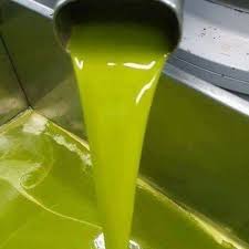 الأردن يكتفي ذاتيا من زيت الزيتون ويحقق فائضا هذا الموسم