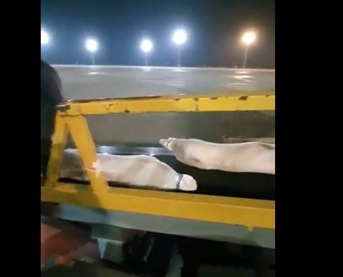 7 أطنان لحم جورجي بطريقها للأردن