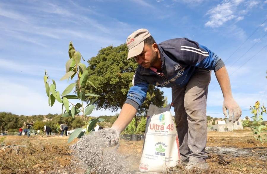 زين تُعيد افتتاح غابتها في جرش وتزرع 1000 شجرة جديدة