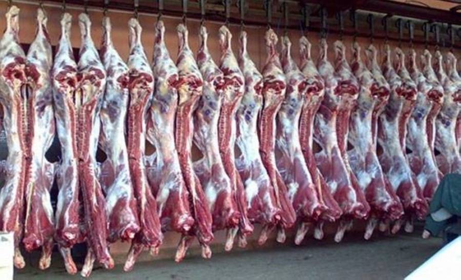 أمانة عمان: اللحوم المبردة المستوردة الجورجية أجيزت للاستهلاك