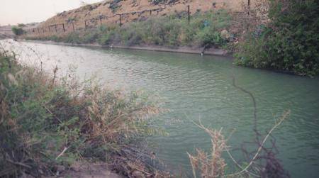 وزير المياه: الأردن يحتاج 11 مليار م3 سنويا لتحقيق الاكتفاء الذاتي لإنتاج الغذاء