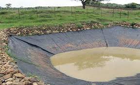 عجلون: مشاريع الحصاد المائي تساهم بتحسين الموسم الزراعي