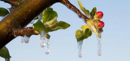 السبت .. أجواء باردة وتحذير من تشكل الصقيع