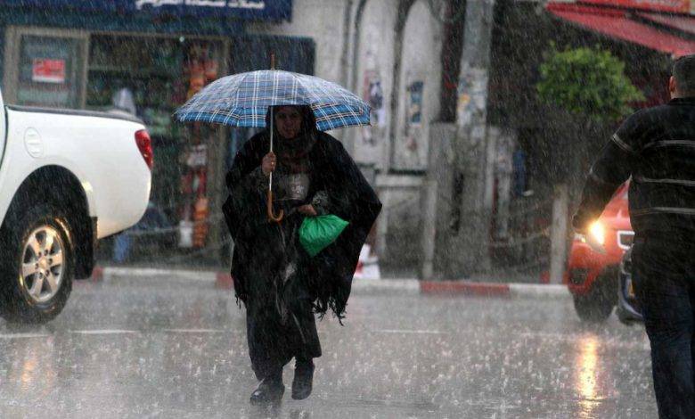 السلط الأعلى هطولا بالمنخفض الأخير (أرقام)