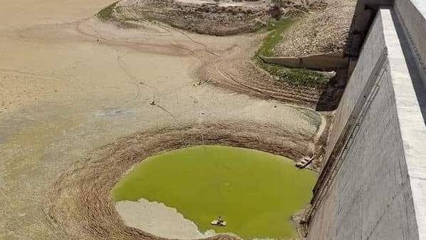 صرف مليون دينار للمزارعين المتضررين من جفاف سد الوالة وآثار الحرائق الممتدة للحدود