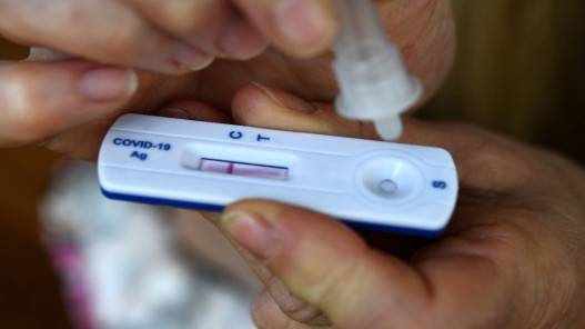 فريق رصد متحورات كورونا: المتحور دلتا لا يزال السائد في الأردن وتزايد في الإصابات بأوميكرون