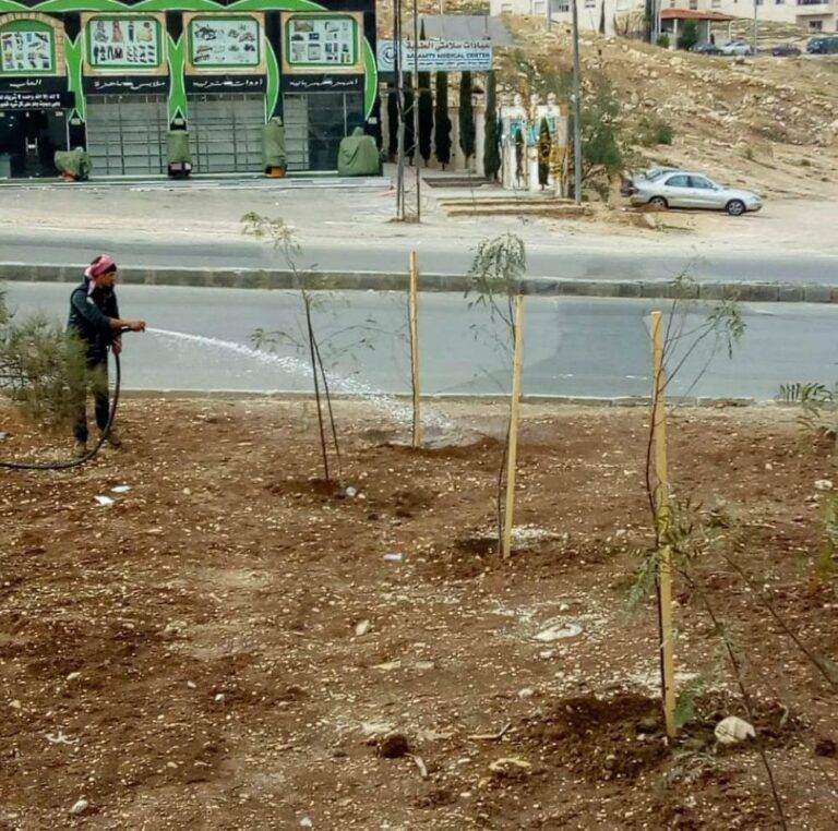 الامانة: زرعنا 20 ألف شجرة