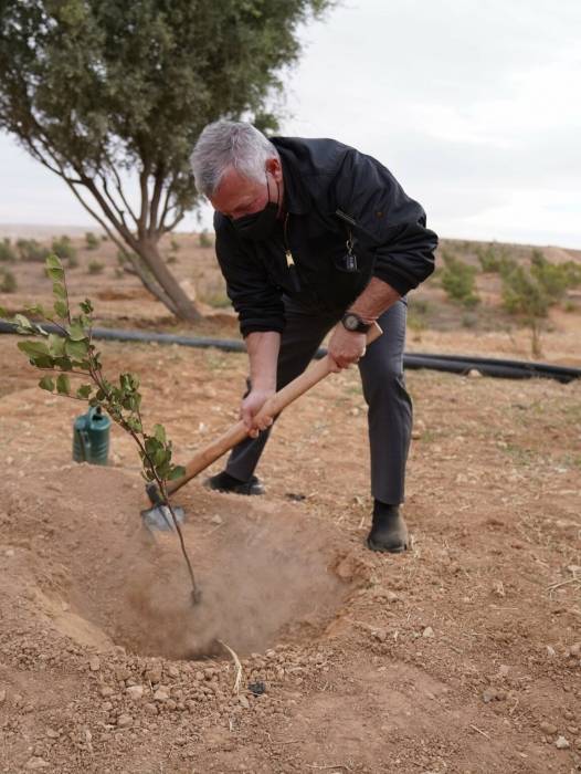 الملك يدعو للتوسع بالغابات المنتجة