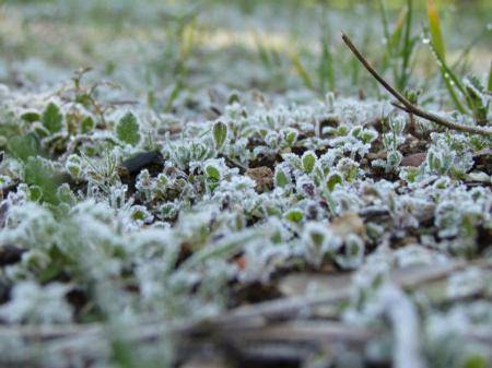 الثلاثاء .. أجواء باردة وتحذير من تشكل الصقيع والإنجماد