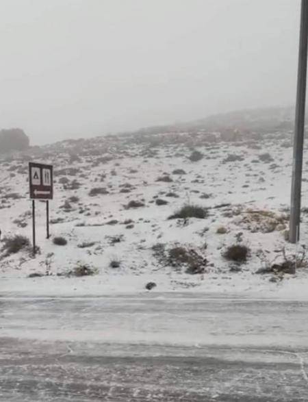 تعطيل المؤسسات الحكومية في الطفيلة