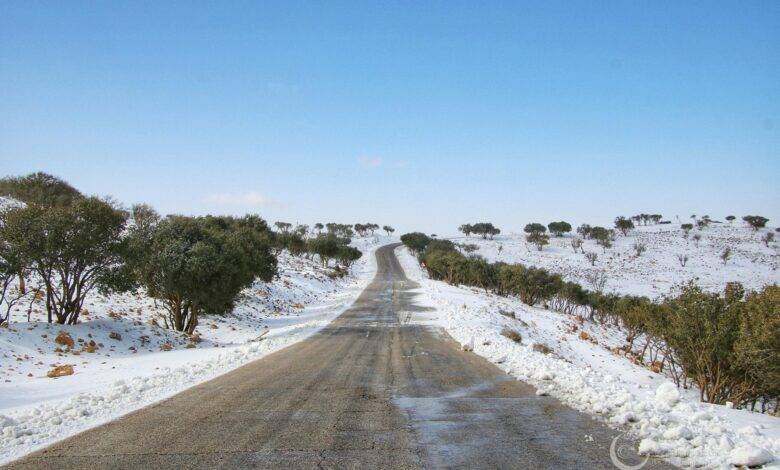 تعطيل الدوام في الشوبك والبترا