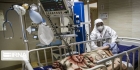 سوريا تسجل 3 وفيات 41 إصابة جديدة بكورونا