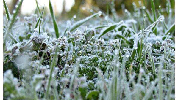 “الأرصاد” تحذر من تشكل الصقيع والانجماد ليلاً