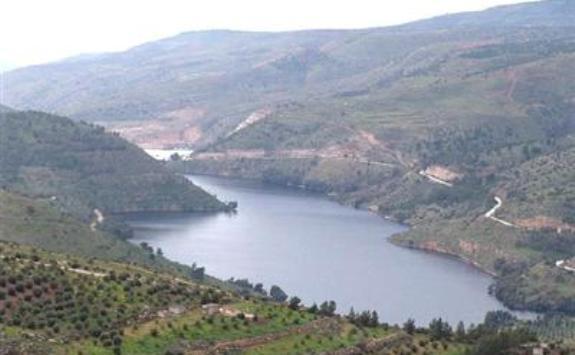 سلطة وادي الأردن توضح حال السدود في المملكة_بالأرقام