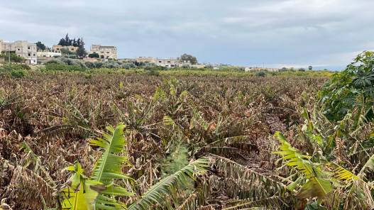 سلطة وادي الأردن ترفع جاهزيتها خلال المنخفض الجوي