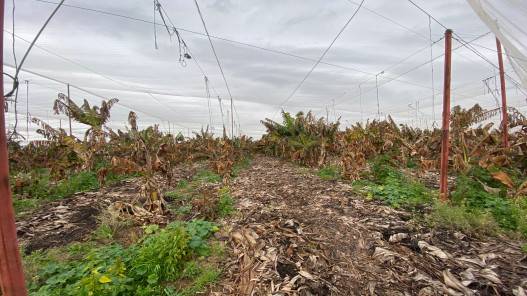 وزارة الزراعة تصدر إرشادات للمزارعين للتعامل مع الظروف الجوية
