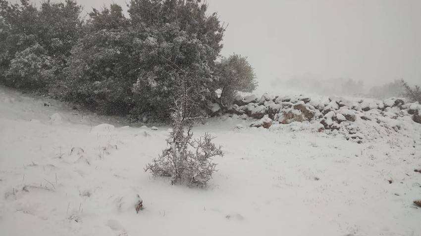 الإدارة المحلية تدعم البلديات بـ5 ملايين دينار لمواجهة الظروف الجوية