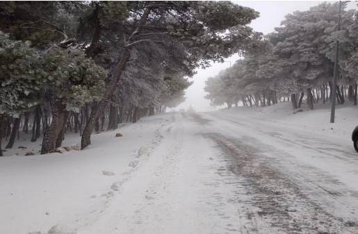 تحويل مسار 5 حافلات سياحية قادمة من العقبة باتجاه البترا