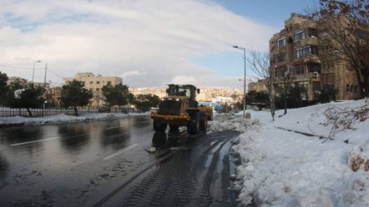 الثلوج تسببت بسقوط من 800 إلى 1000 شجرة في مدينة الحسين للشباب
