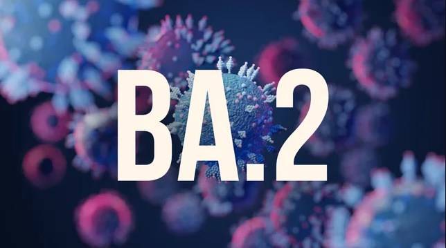 عاجل |  البلبيسي: تسجيل أول حالتين من المتحور الخفي (BA.2) في الاردن