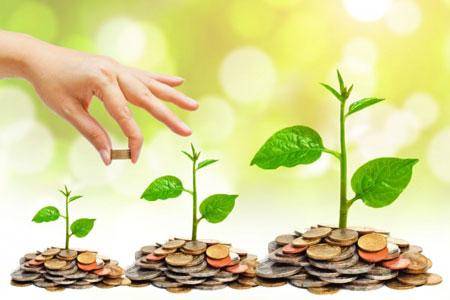 الإقراض الزراعي تبدأ باستقبال طلبات القروض