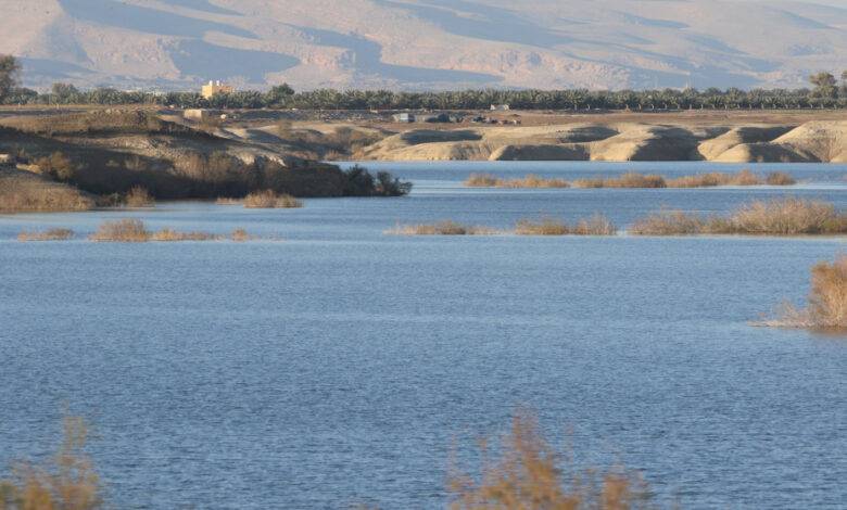 سدان في المملكة لأغراض الشرب فقط.. وهذا وضعهما المائي