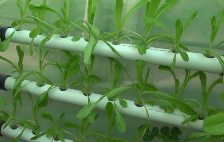 التنمية والبئية توقعان اتفاقية لتنفيذ مشاريع بيئية زراعية مستدامة.